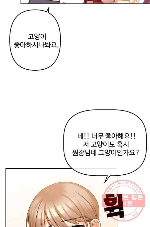 우리집 고양이는 베지테리언 내 집사가 되어라 83