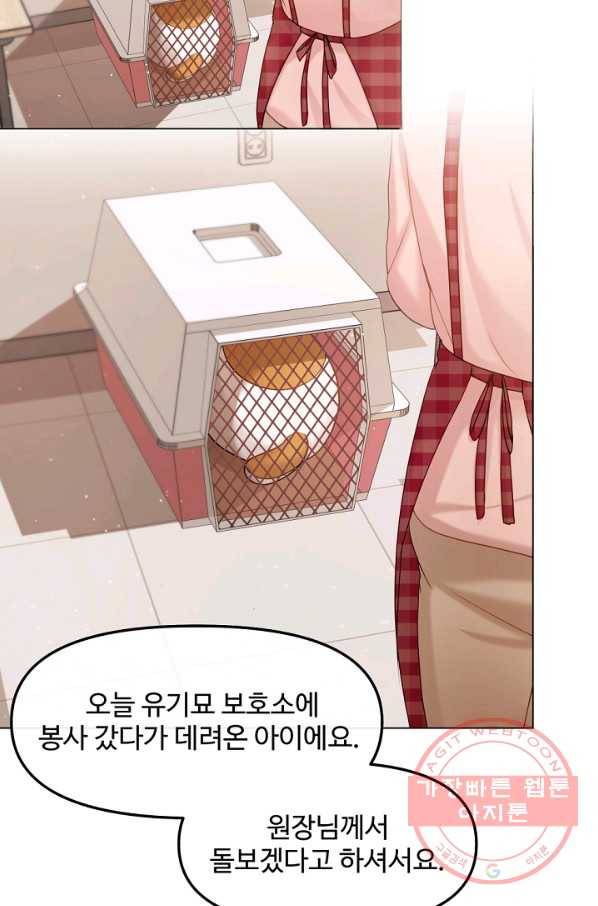우리집 고양이는 베지테리언 내 집사가 되어라 85