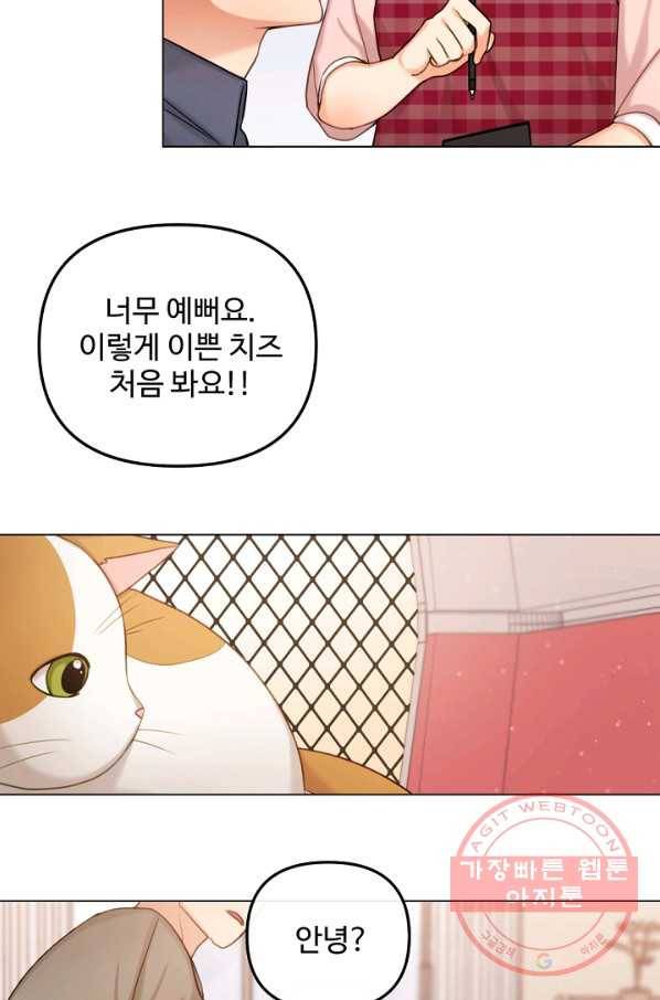 우리집 고양이는 베지테리언 내 집사가 되어라 87