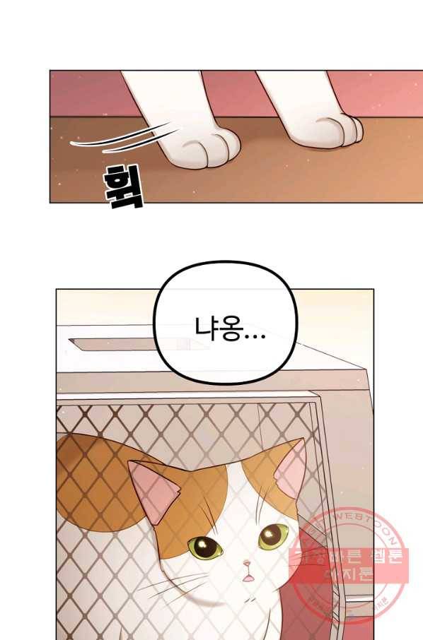 우리집 고양이는 베지테리언 내 집사가 되어라 90