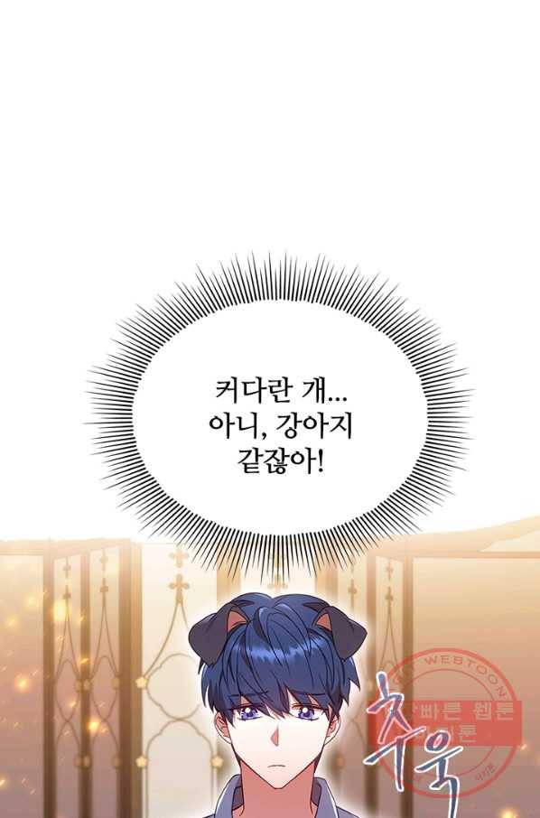 이혼당했지만 재벌입니다 10화 5