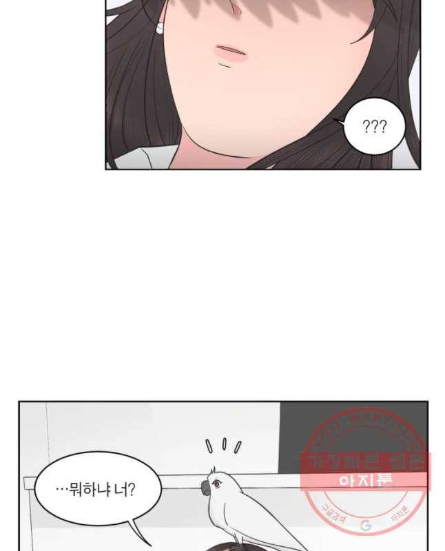 그녀의 앵무새 69화 좀혀지는 거리 30