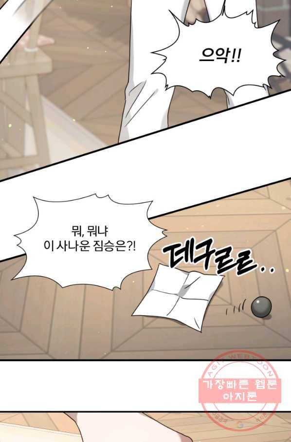 가짜 공녀님의 만렙 토끼 48화 4