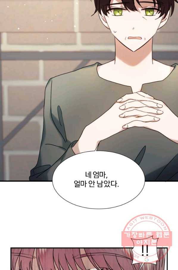 가짜 공녀님의 만렙 토끼 48화 9