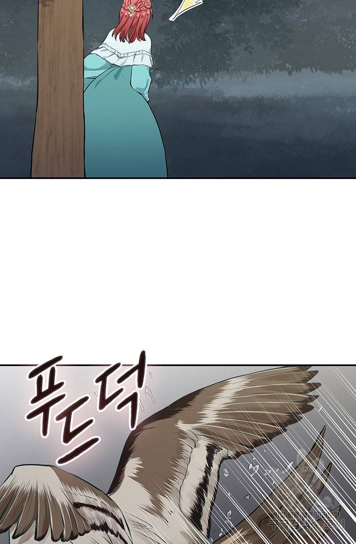 눌리타스 : 절반의 백작 영애 35화 13