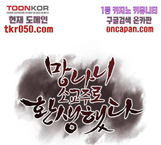 망나니 소교주로 환생했다 19화 1