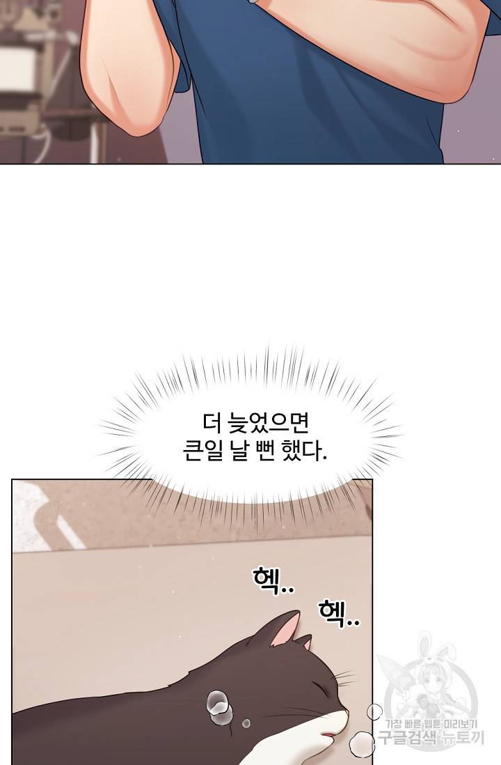 우리집 고양이는 베지테리언 탱고의 수술 3