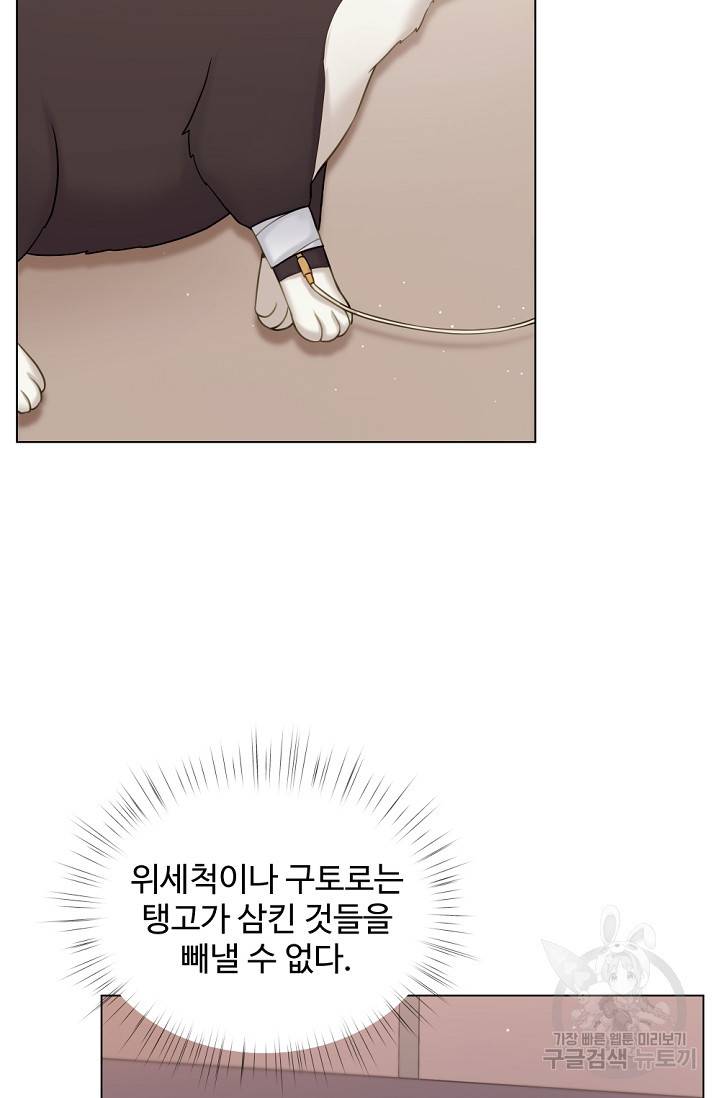우리집 고양이는 베지테리언 탱고의 수술 4