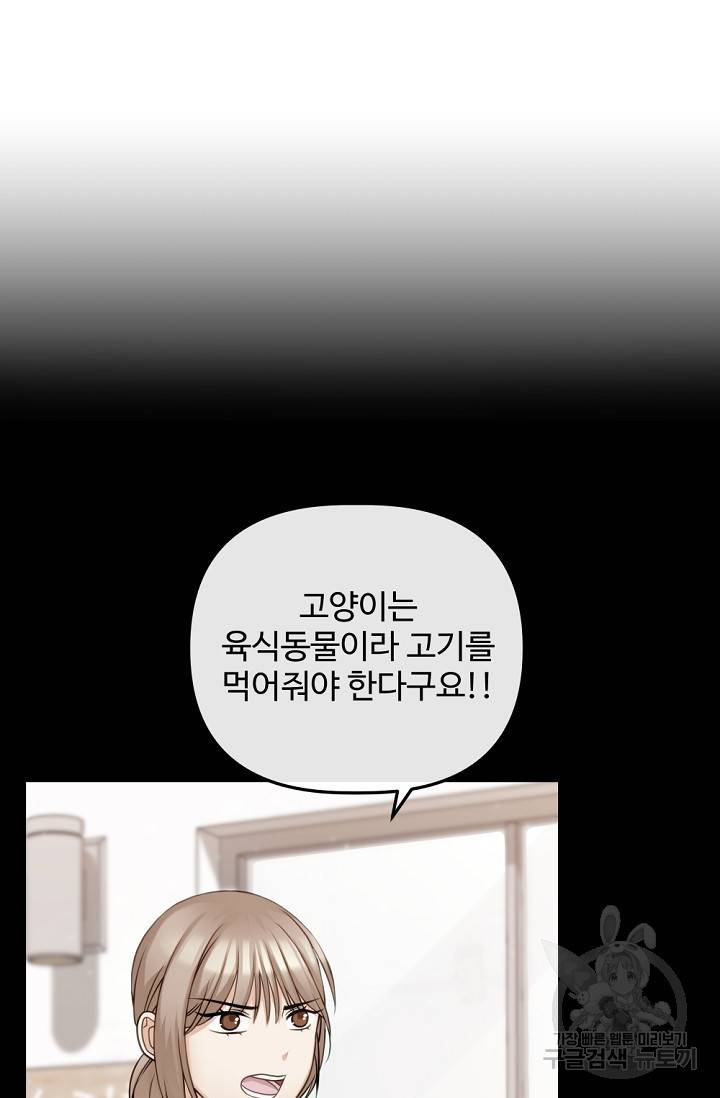 우리집 고양이는 베지테리언 탱고의 수술 17