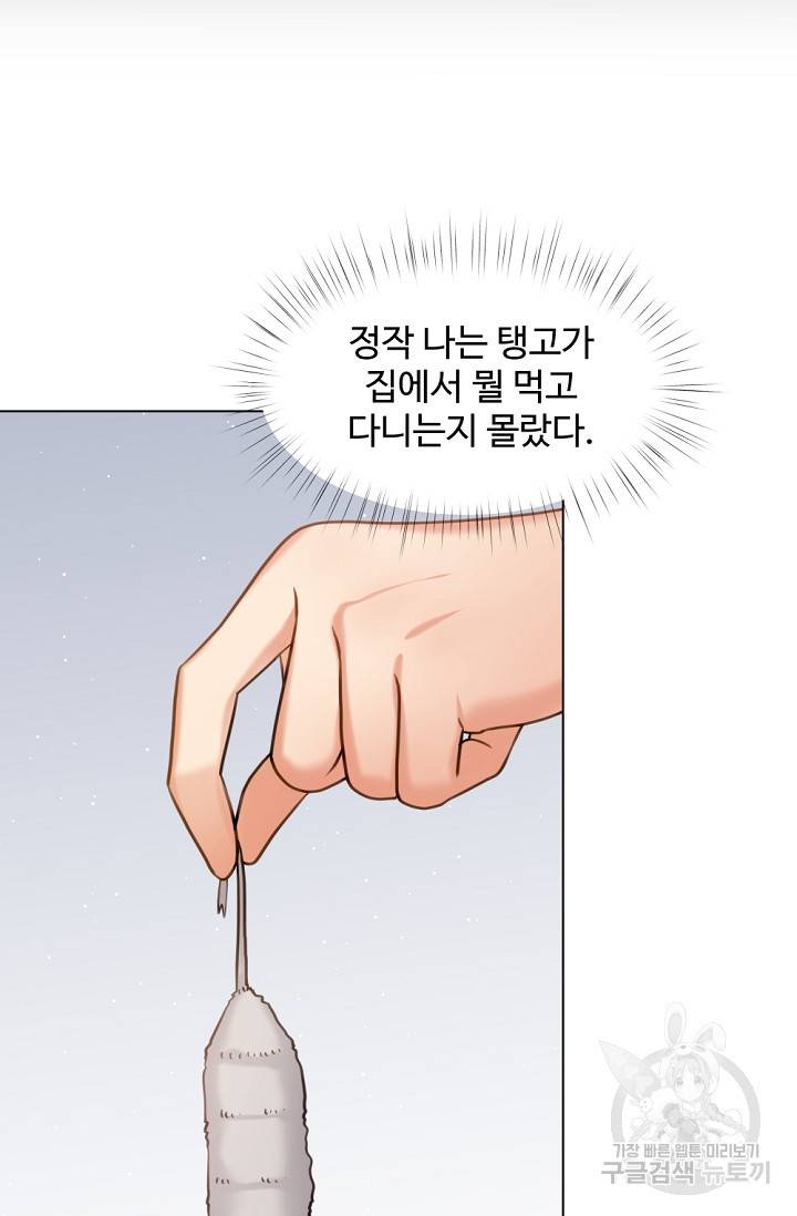우리집 고양이는 베지테리언 탱고의 수술 22