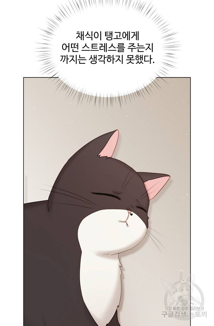 우리집 고양이는 베지테리언 탱고의 수술 25