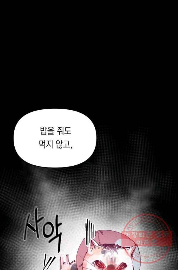 이 소설이 끝나기 전에, 21화 50