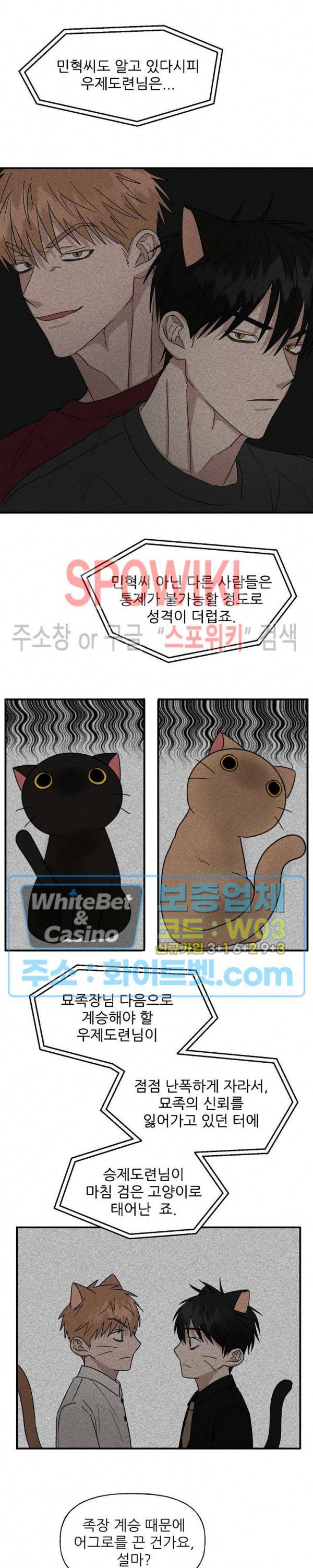 행운은 고양이로부터 19화 5