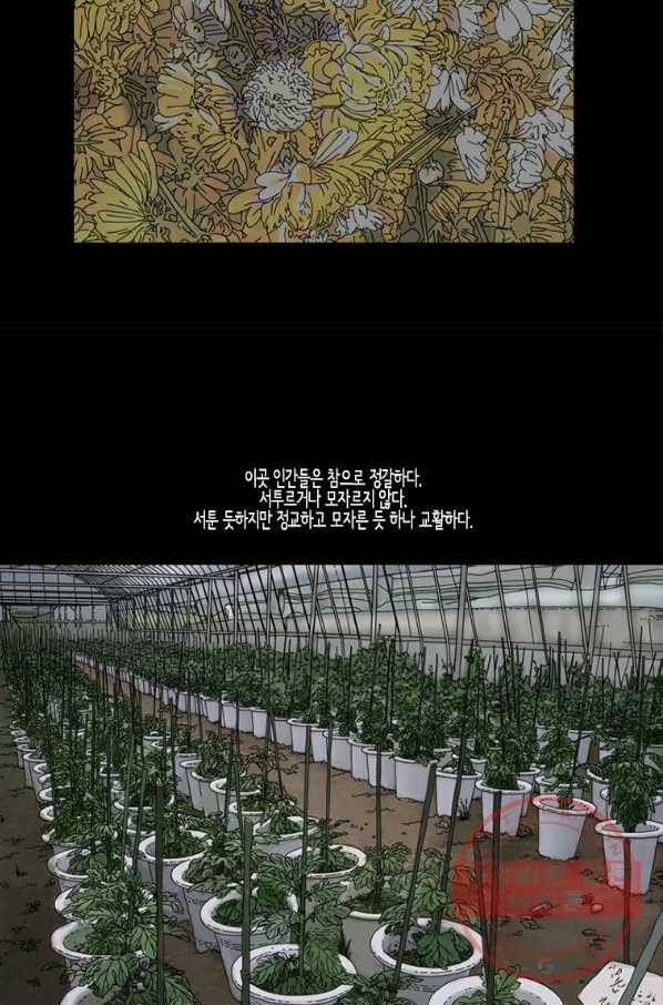 이끼 31화 17