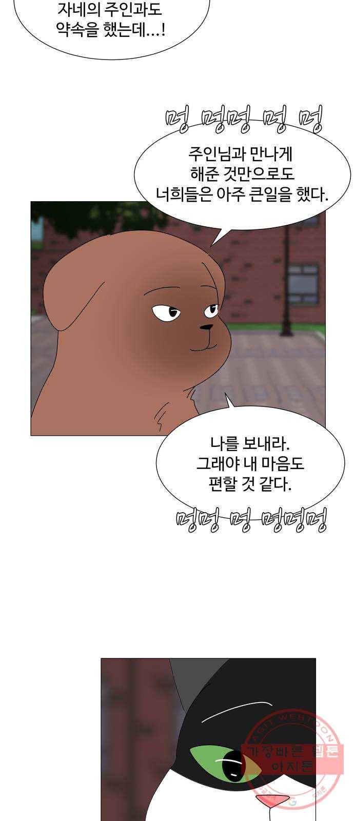 야생천사 보호구역 43화 협상 (2) 13