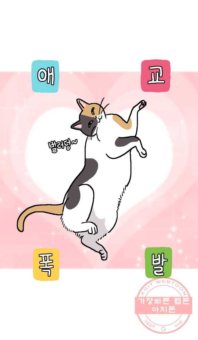 애옹식당 프롤로그 20