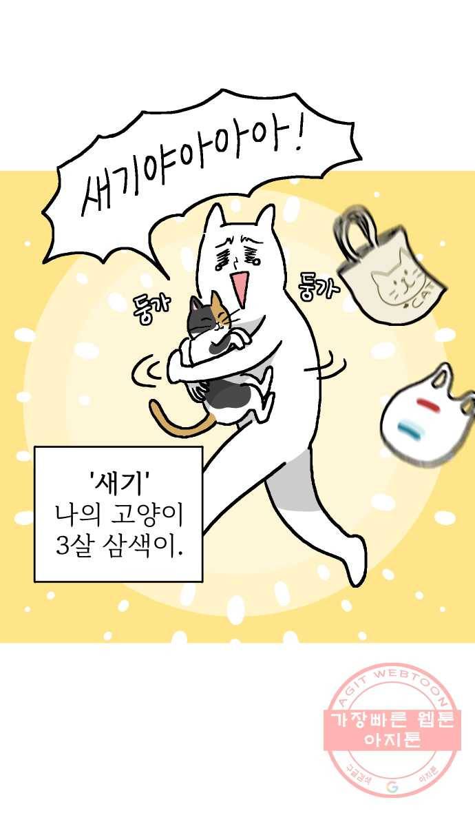 애옹식당 프롤로그 22