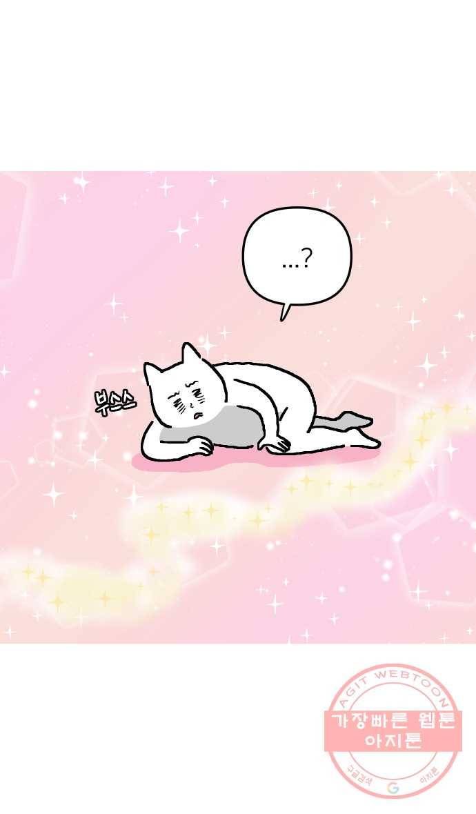 애옹식당 프롤로그 27