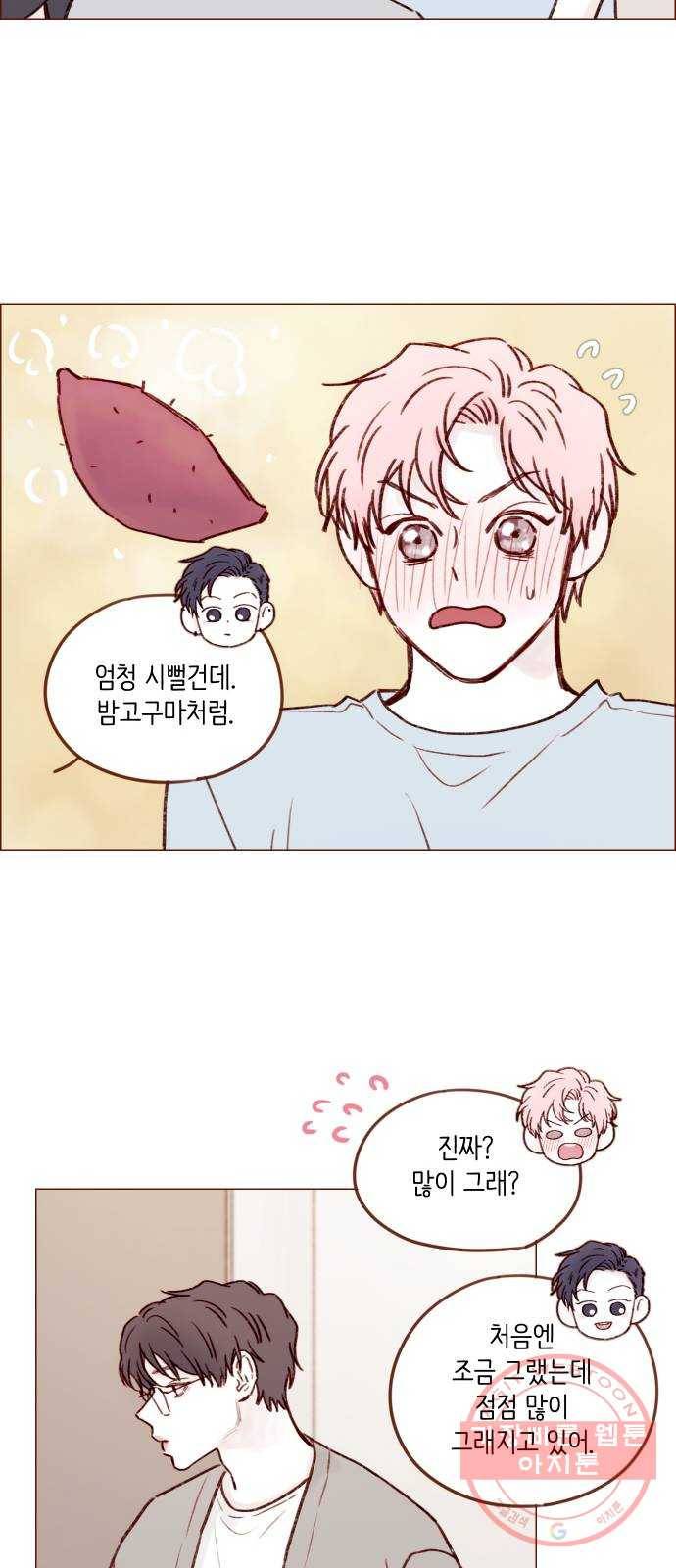 홍시는 날 좋아해! 173화 : 얼굴 뚫어지겠네, 뚫어지겠어 19