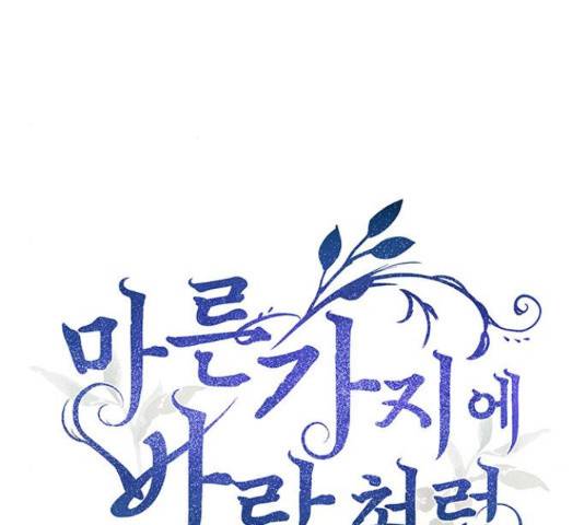 마른 가지에 바람처럼 71화 14