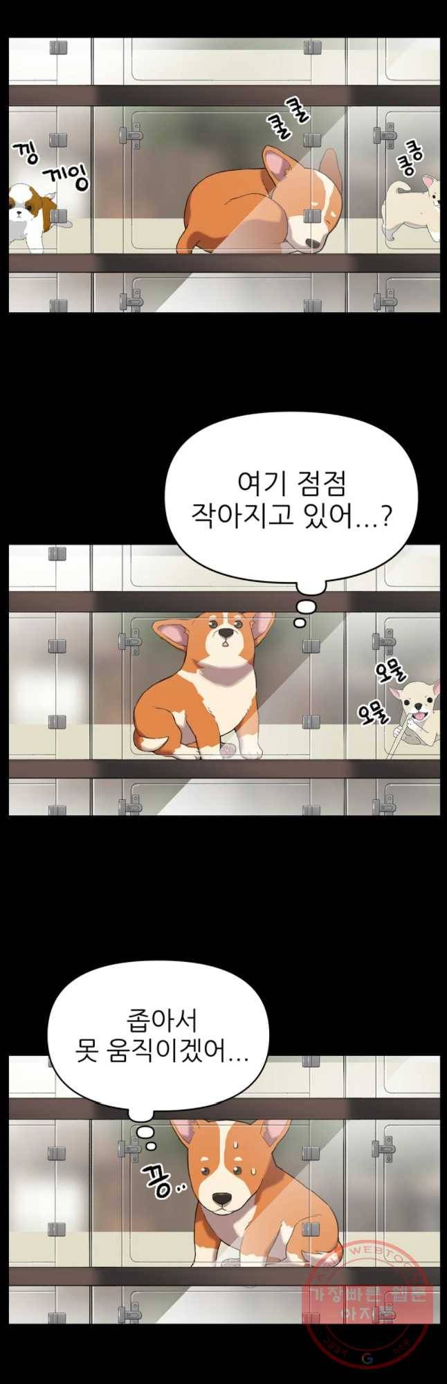 무지개다리 파수꾼 47화 4