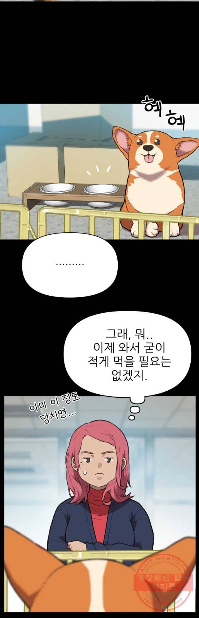 무지개다리 파수꾼 47화 7