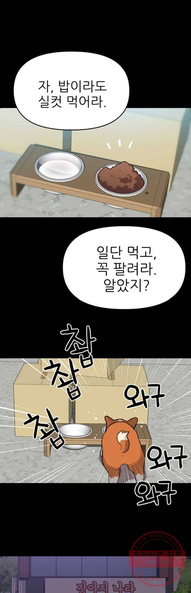 무지개다리 파수꾼 47화 8