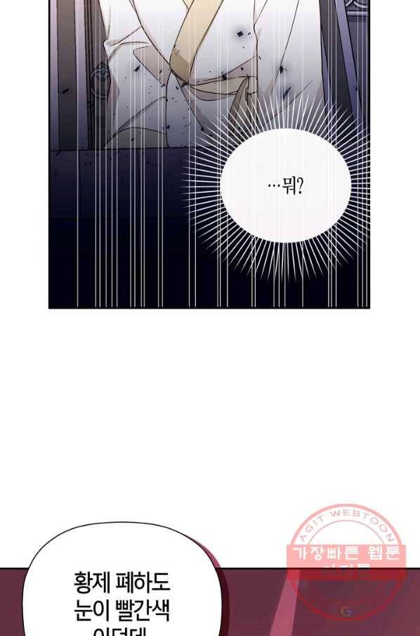황제의 아이를 숨기는 방법 20화 2
