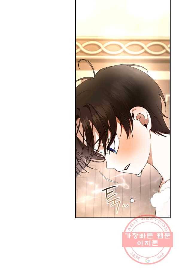 황제의 아이를 숨기는 방법 20화 10