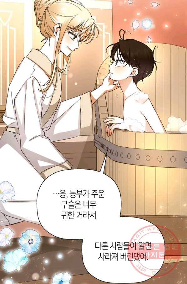 황제의 아이를 숨기는 방법 20화 15