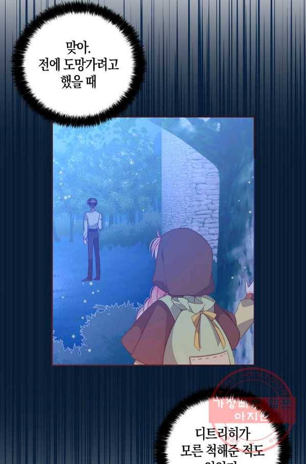 악당 대공님의 귀하디귀한 여동생 60화 4