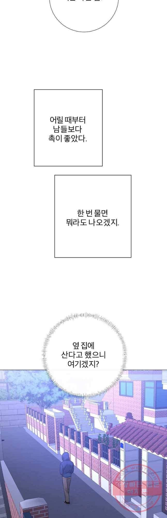 우주를 삼킨 별 24화 촉 6