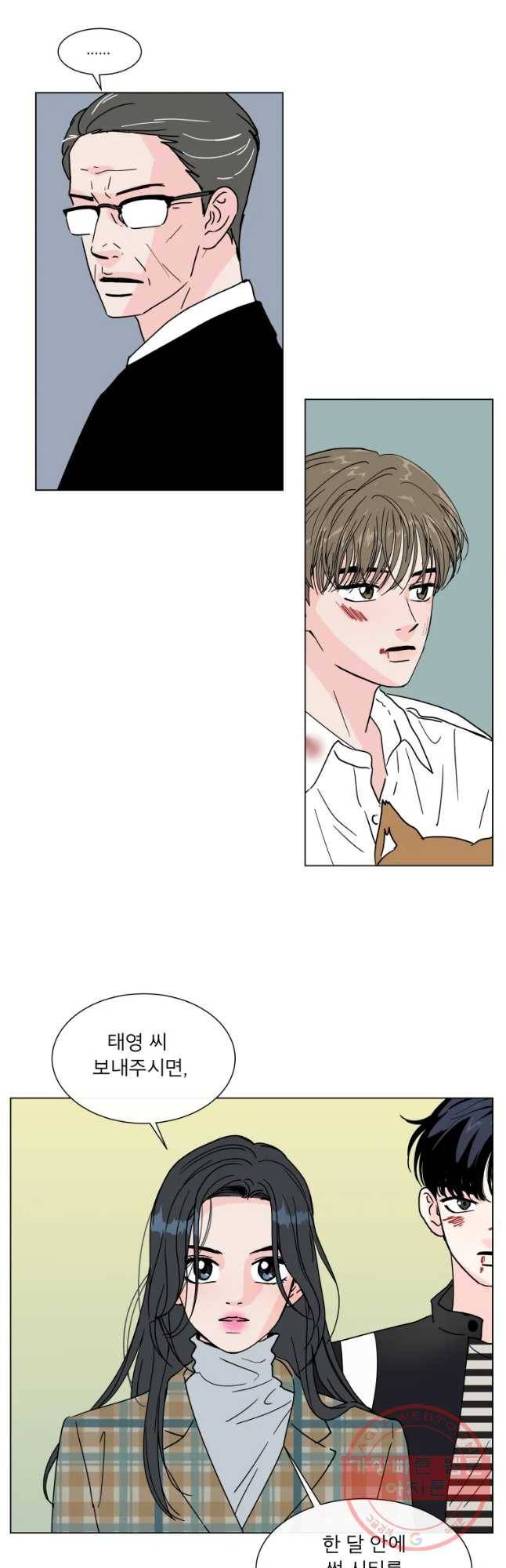 우리집이거든요! 139화 16