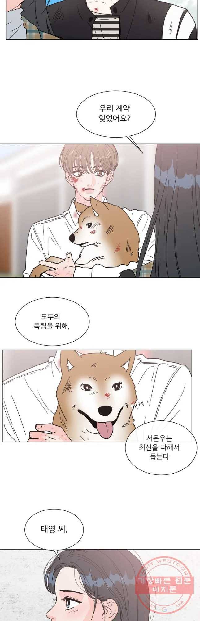 우리집이거든요! 139화 31