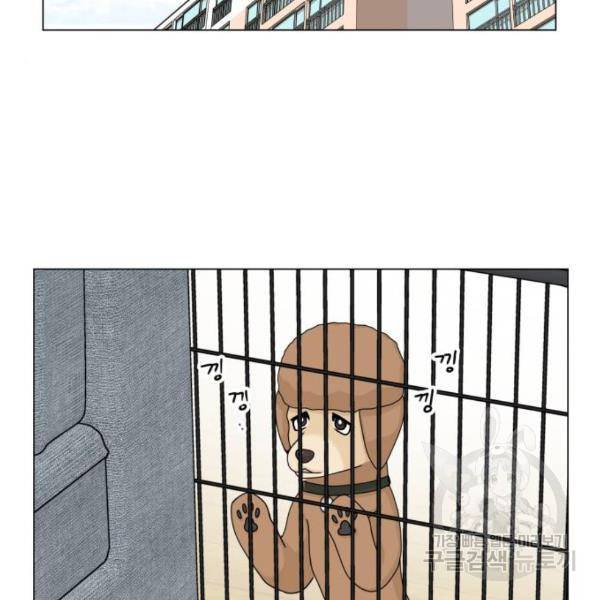 개를 낳았다 시즌2 87화 2