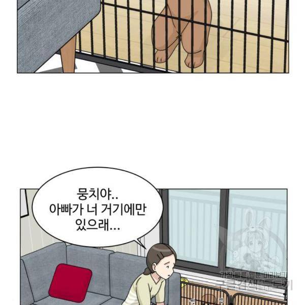 개를 낳았다 시즌2 87화 3