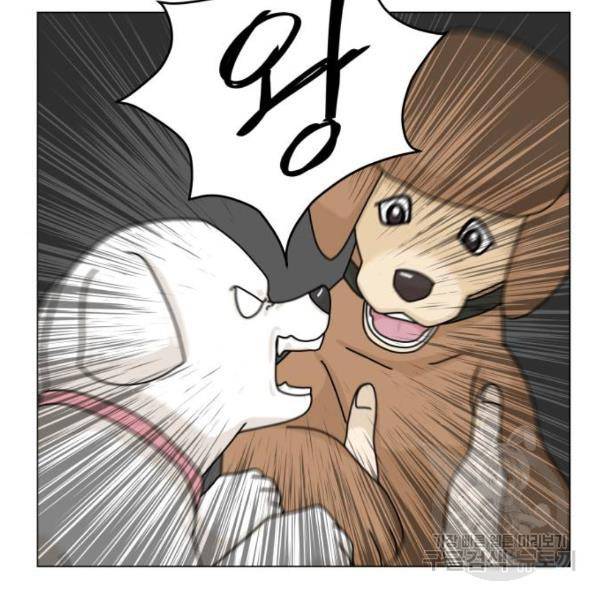 개를 낳았다 시즌2 87화 13