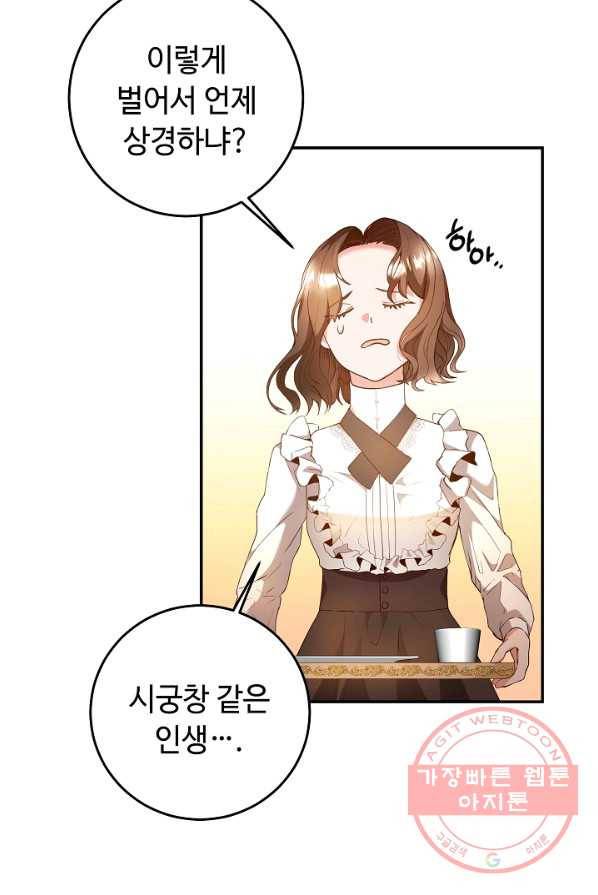 스폰테 데이 1화 61