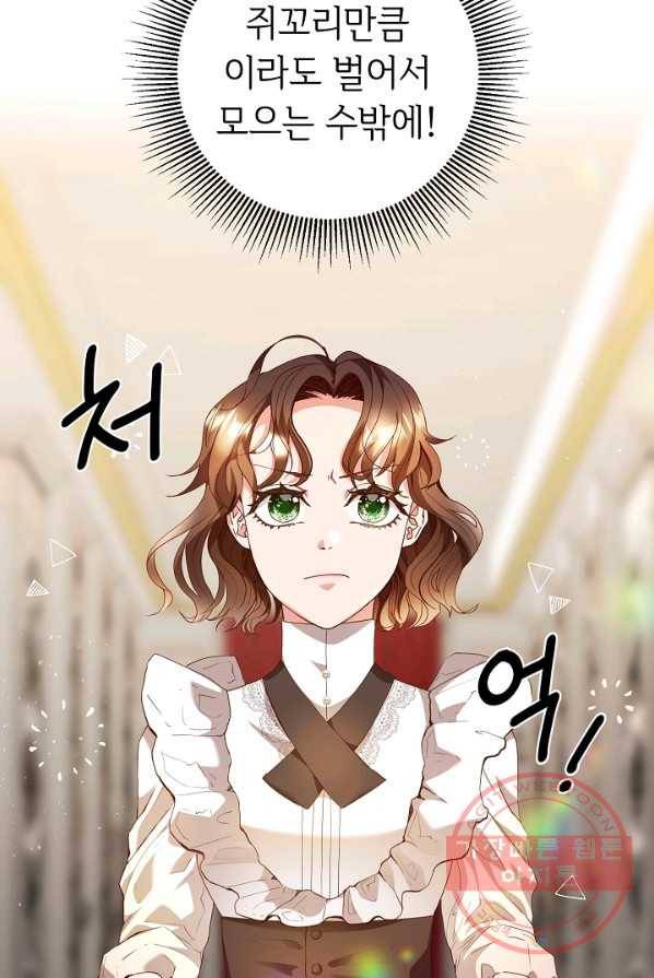 스폰테 데이 1화 63