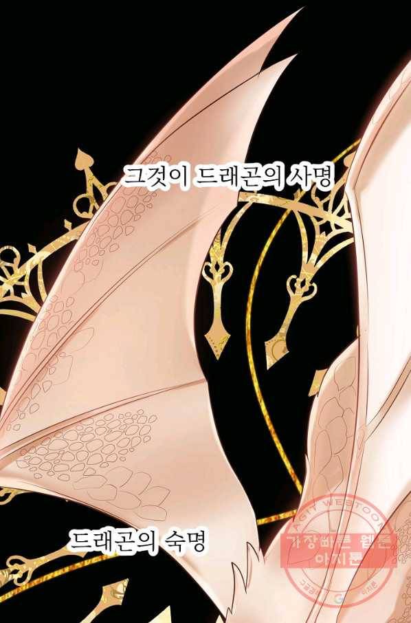 베이비 드래곤 43화 3