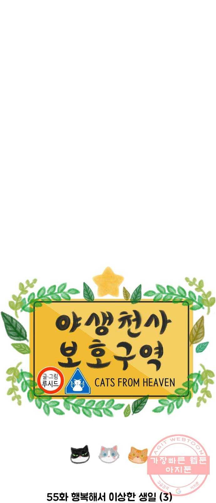 야생천사 보호구역 55화 행복해서 이상한 생일 (3) 4
