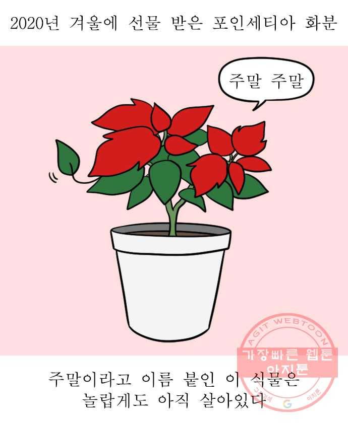 독립일기 시즌2 58화 식물을 키운다는 것 1