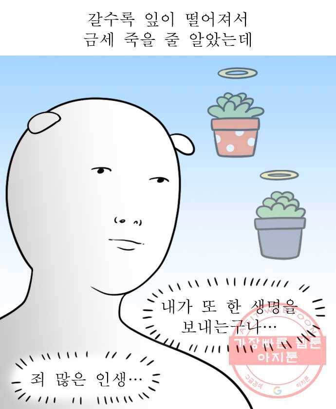 독립일기 시즌2 58화 식물을 키운다는 것 2