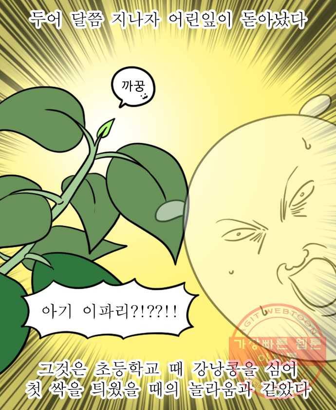 독립일기 시즌2 58화 식물을 키운다는 것 3
