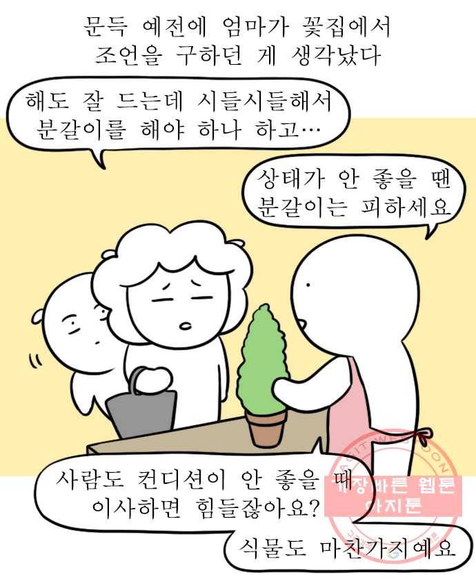 독립일기 시즌2 58화 식물을 키운다는 것 10