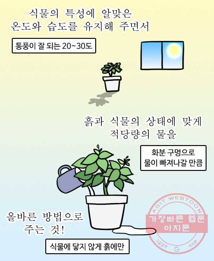 독립일기 시즌2 58화 식물을 키운다는 것 12