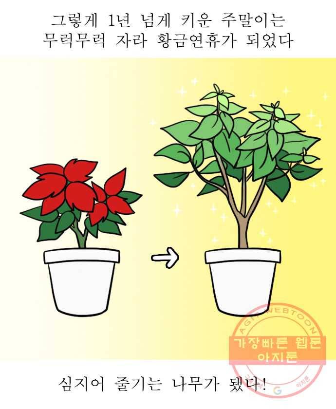 독립일기 시즌2 58화 식물을 키운다는 것 13