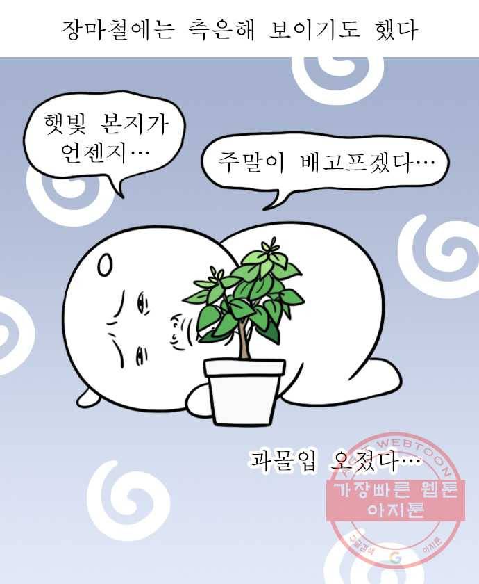 독립일기 시즌2 58화 식물을 키운다는 것 17