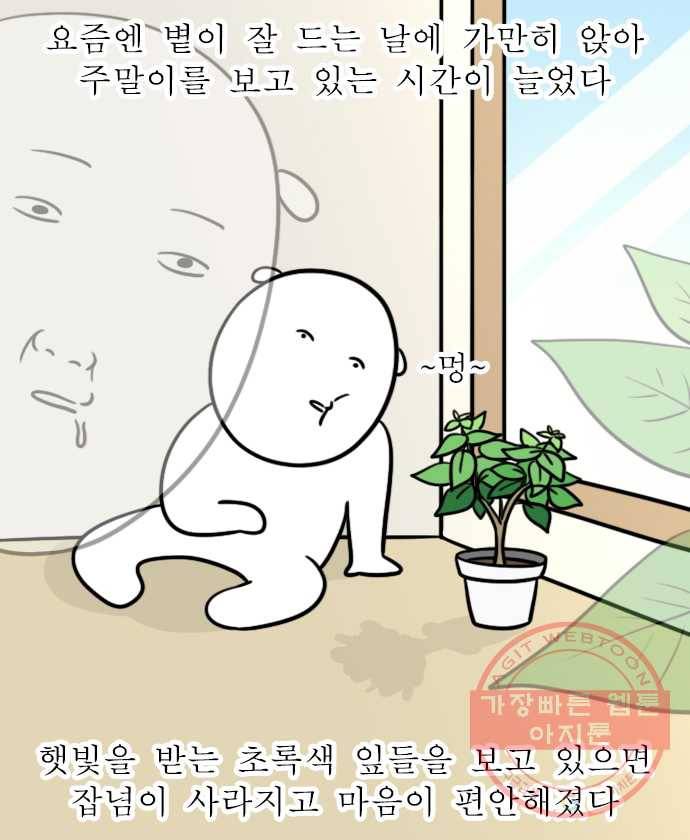 독립일기 시즌2 58화 식물을 키운다는 것 18