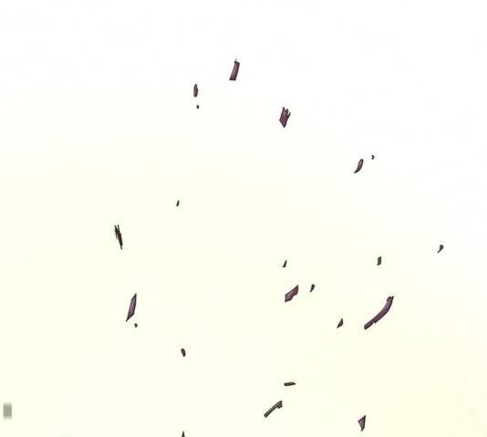기계증식증 41화 11